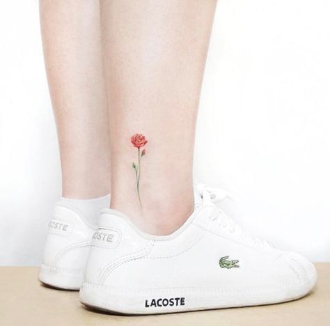 5e4df856225f32a21c93783d6809f4ab