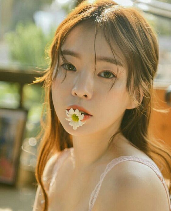 d2f8b4a7e34a223fa16a21ad6adb2742