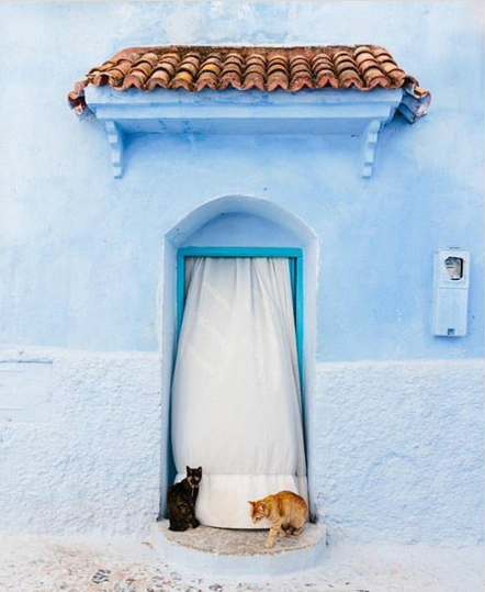 tumblr_otseqmOMP11shq20ro1_500