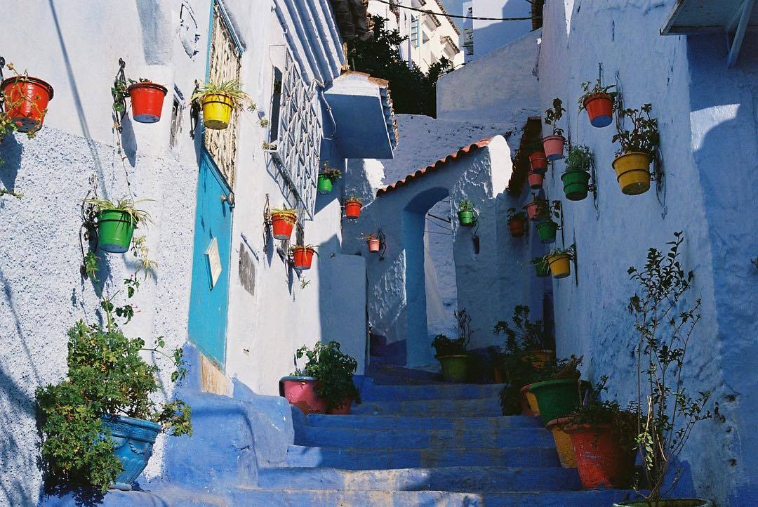 tumblr_p8oman9kY51vpblk7o1_1280