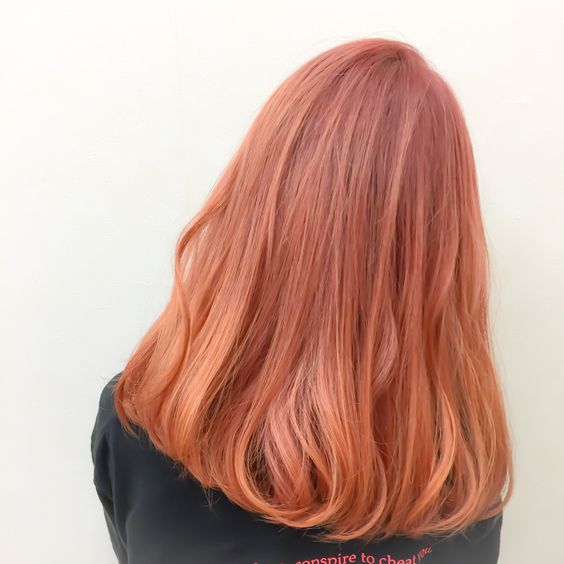 189f2426559a04a5d83e016ec24f681b