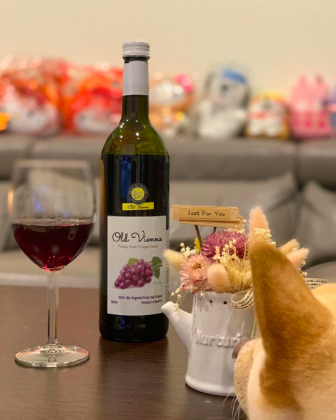 Screen Shot 2018-12-06 at 1.11.41 PM