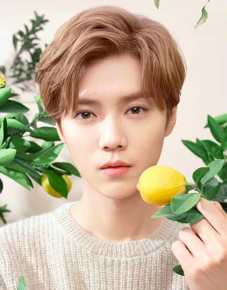 Screen Shot 2018-12-08 at 10.29.31 PM