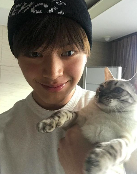 Screen Shot 2018-12-19 at 3.04.22 PM