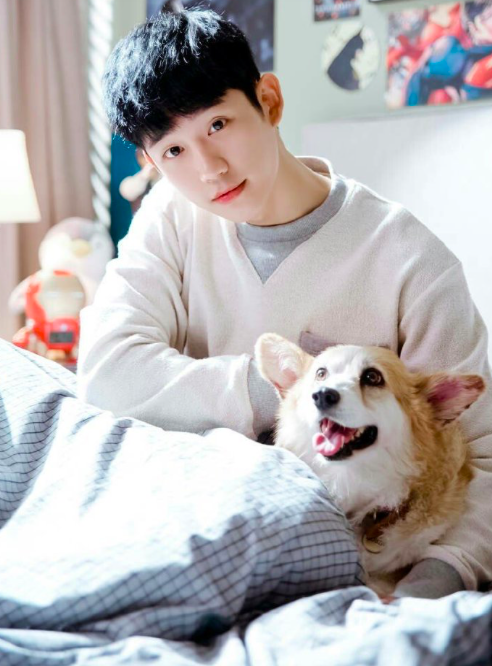 Screen Shot 2018-12-21 at 9.47.24 AM