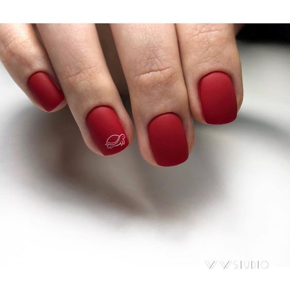 41b5bbca372fd5de72f08b2c44525da0