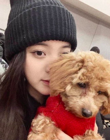 Screen Shot 2019-01-07 at 9.15.48 AM