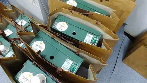 Screen Shot 2019-01-12 at 9.13.11 AM