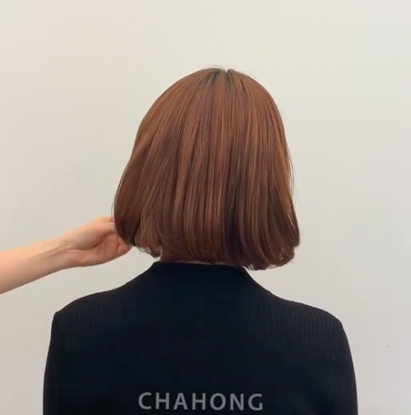 Screen Shot 2019-01-24 at 3.39.01 PM