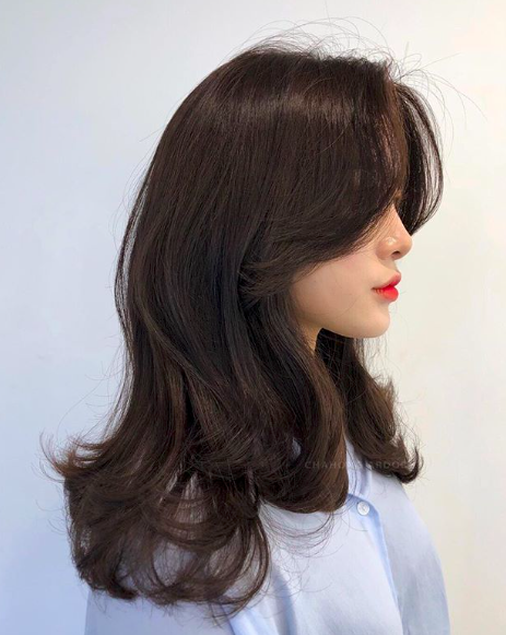 Screen Shot 2019-01-30 at 3.41.37 PM