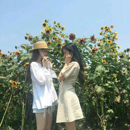 281865ae5252cd2a2285bddc5e3556d0