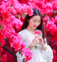 Screen Shot 2019-02-04 at 2.19.22 PM