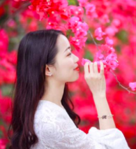 Screen Shot 2019-02-04 at 2.19.29 PM