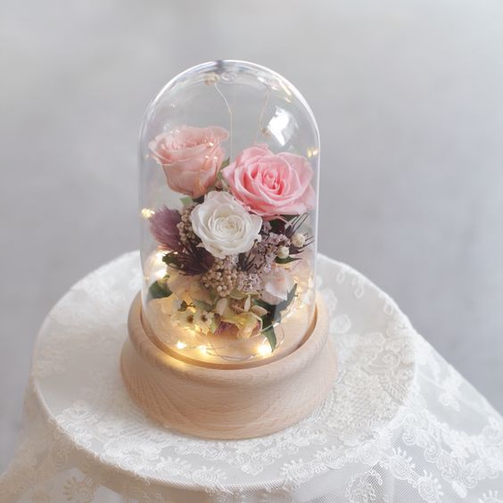 cd92602114f6adbd584f69f726330faf