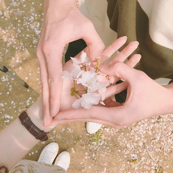 501928ad6079177caa26d9b7cbc60849