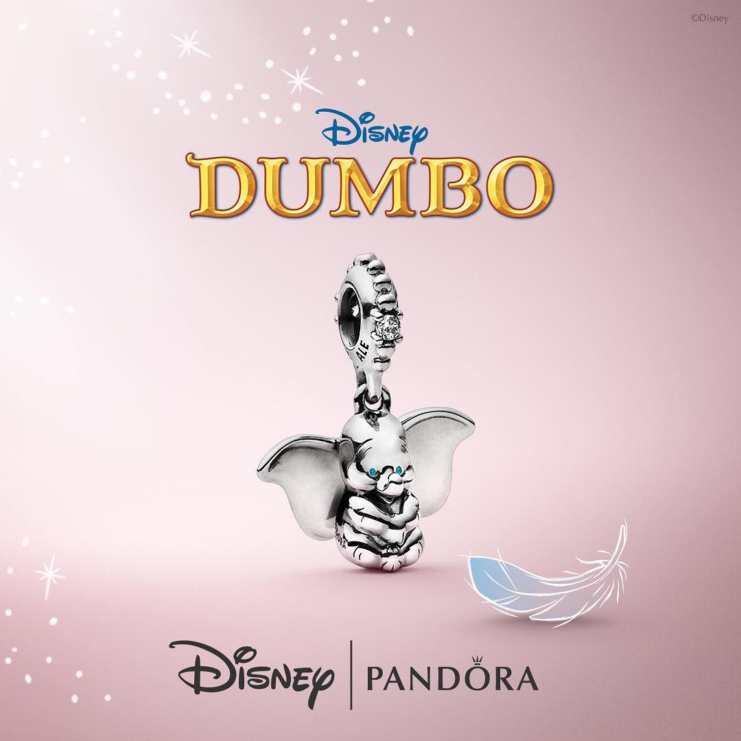 54277529_585212425329304_1565248629542723834_n