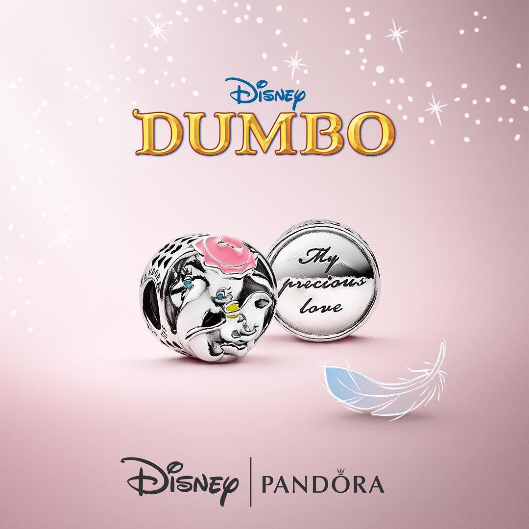 54510948_2325923217497568_4333690138476923975_n