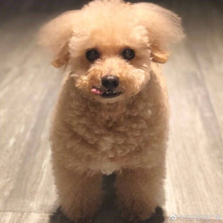 88477c4aly1g112mby3vqj20u00u0god