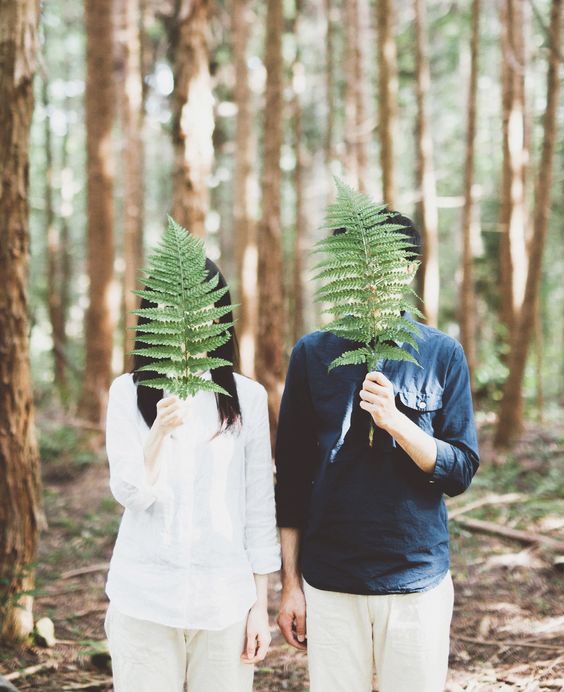 e31138a26d72591ffd26892e8587bca1