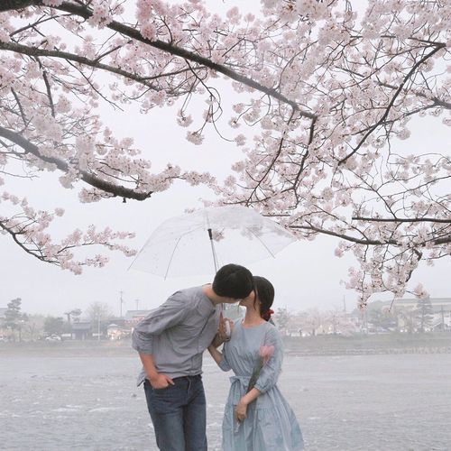 ece459cefe7fdee2f07937e81135abe6