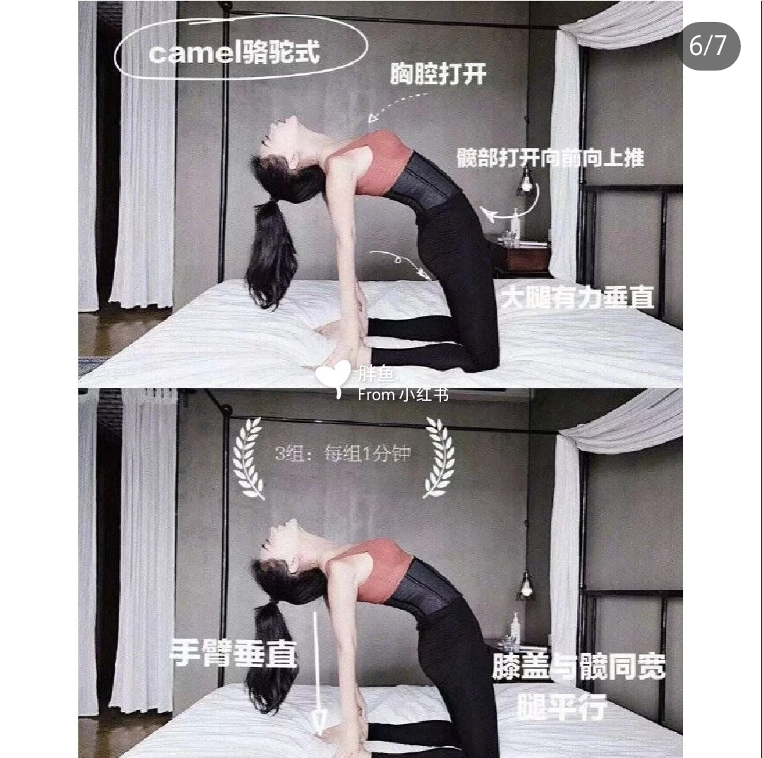 57484501_2325245967745951_9157017223083065344_n