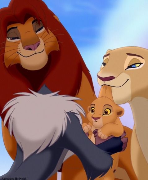 8672dc761e1552684b44480a2e8db308