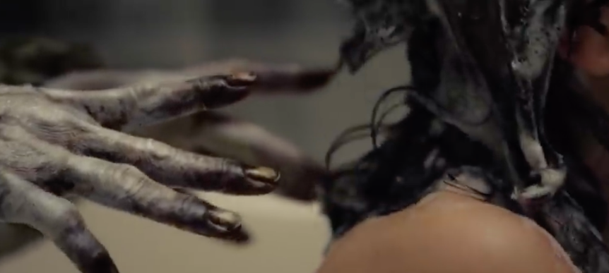 Screen Shot 2019-04-15 at 12.24.59 PM