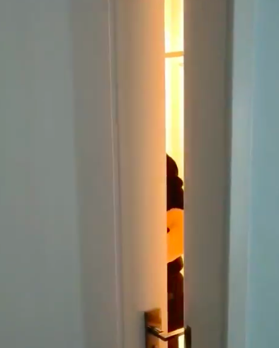 Screen Shot 2019-04-26 at 6.06.13 PM 1