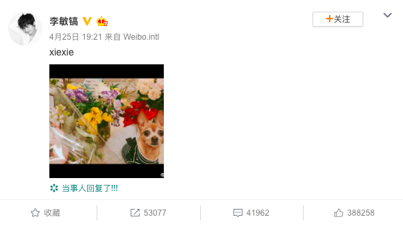 Screen Shot 2019-04-26 at 9.57.26 AM