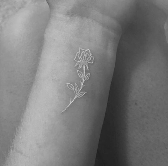 2cd6259997ce430cceba28996db5b14a