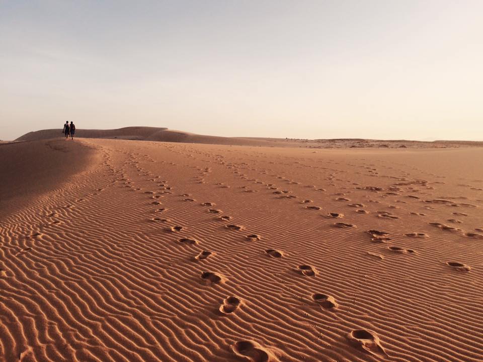 59573331_439399256821040_5061260964221943808_n