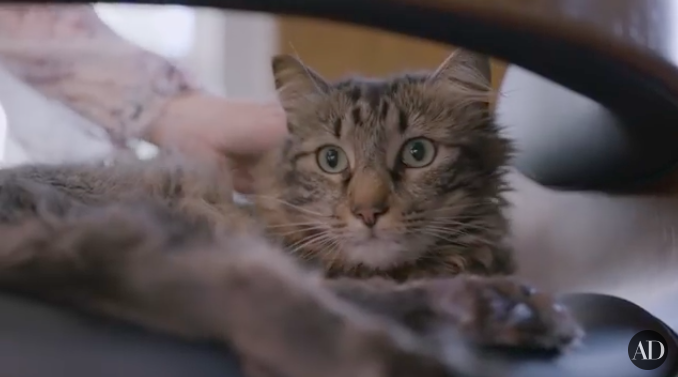 Screen Shot 2019-05-10 at 5.18.00 PM