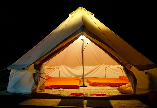 Screen Shot 2019-05-16 at 10.20.21 AM