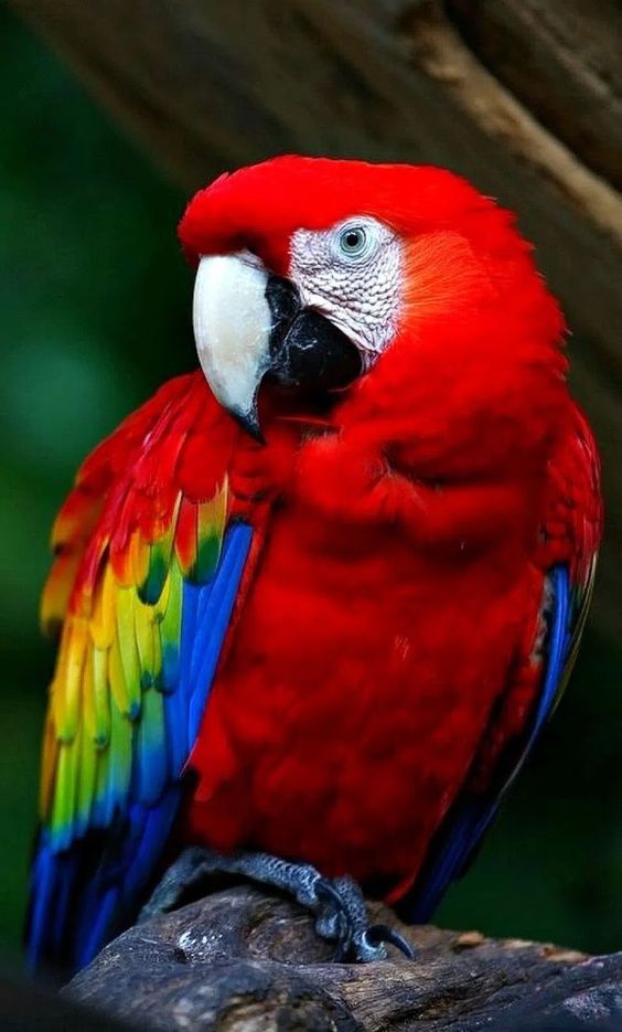 e25c834b516da046c01e0928e8f7979c