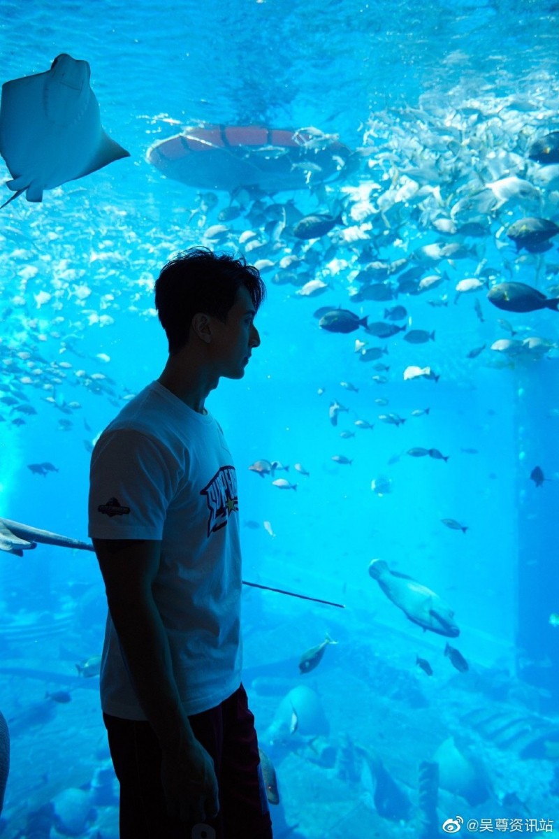 006UJRyYgy1g4c8yi6l6aj30u0190ajf