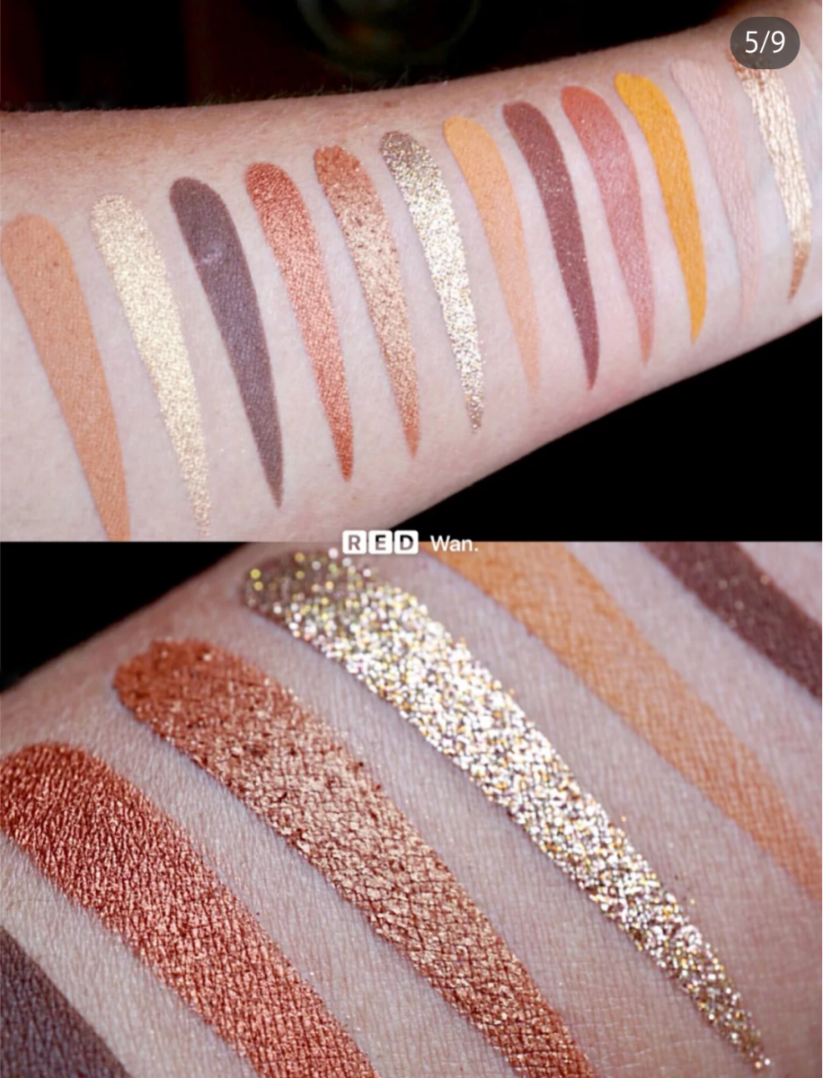 65058502_2241619815951971_6268597333647163392_n