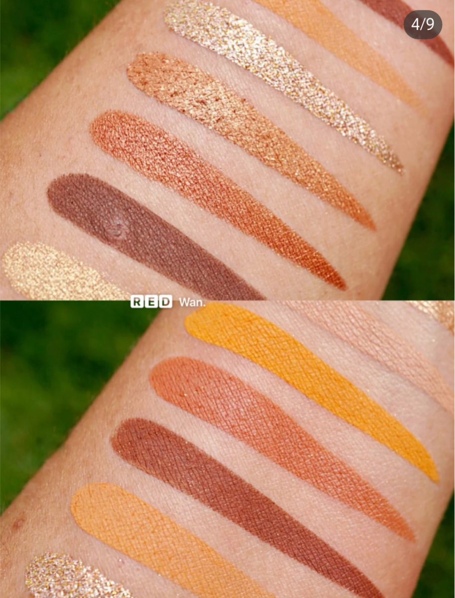 65215351_2072801592843390_7827888092383019008_n