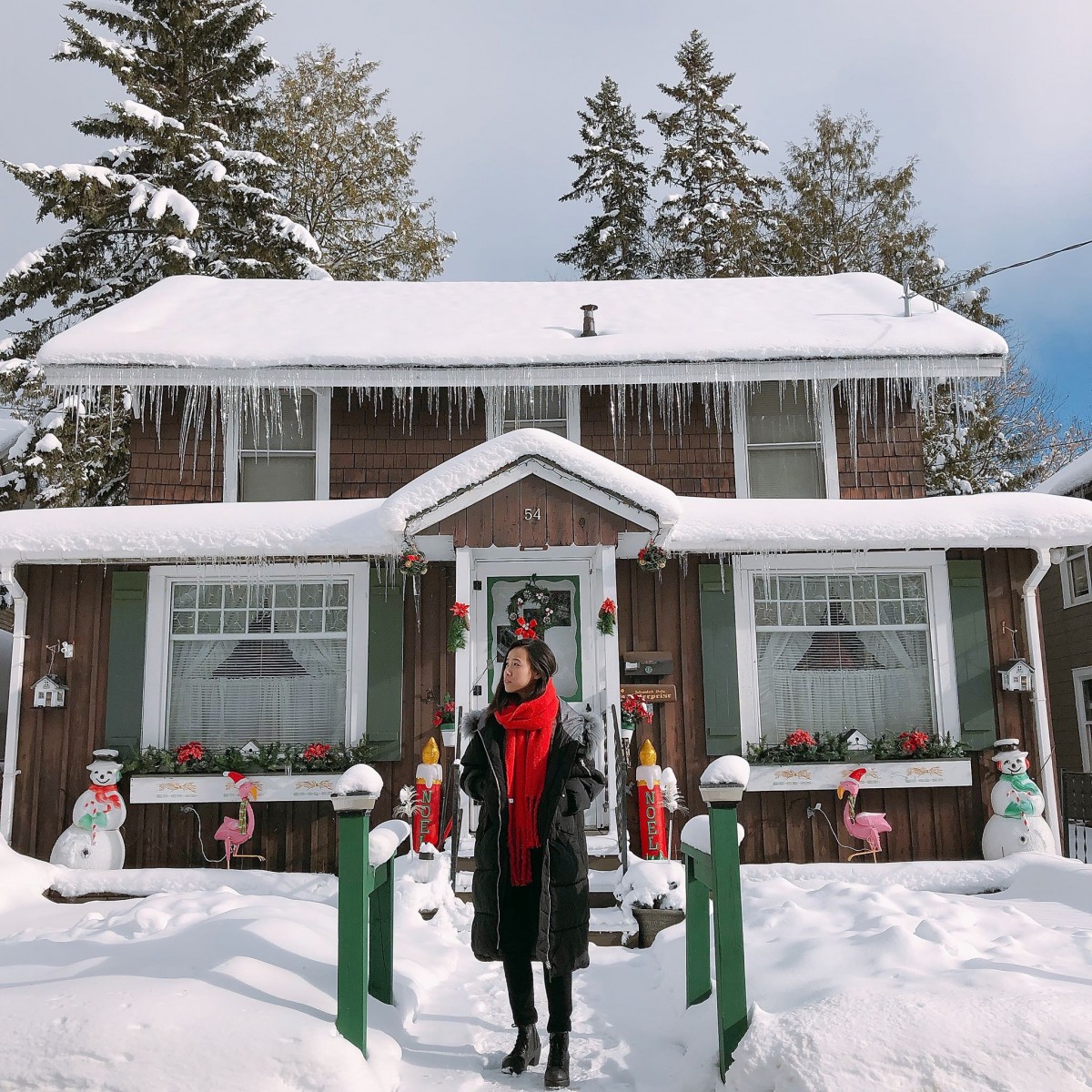 65582534_911859952501471_5854056586409934848_n