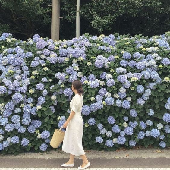 7699d7ed25522afad7db86958db96372