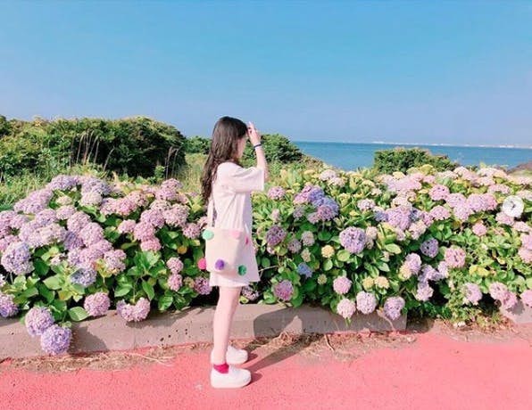 Screen-Shot-2019-06-04-at-12.47.45-PM