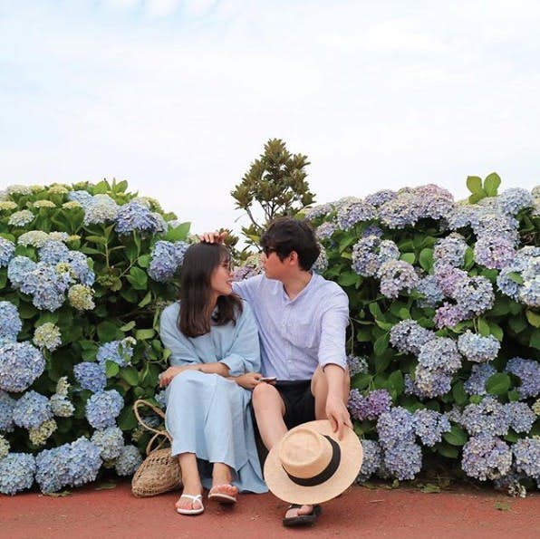 Screen-Shot-2019-06-04-at-12.53.41-PM