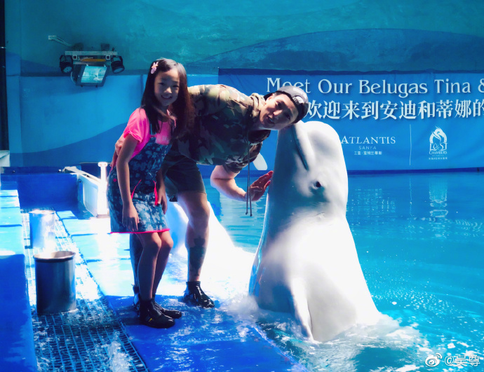 e7395209gy1g3v5r3celoj21400utqv5