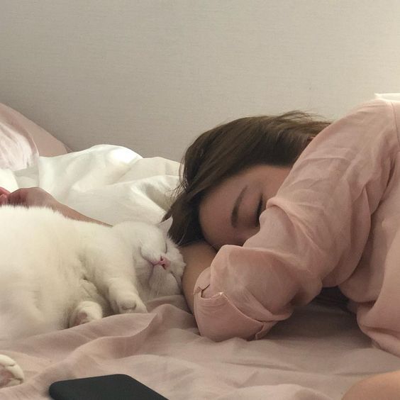 e92ecc1441955ad482d34e503b126ec1-2