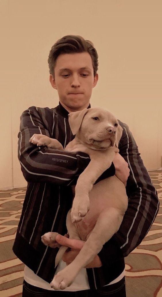 11308b01c43b2956af700882465921d3