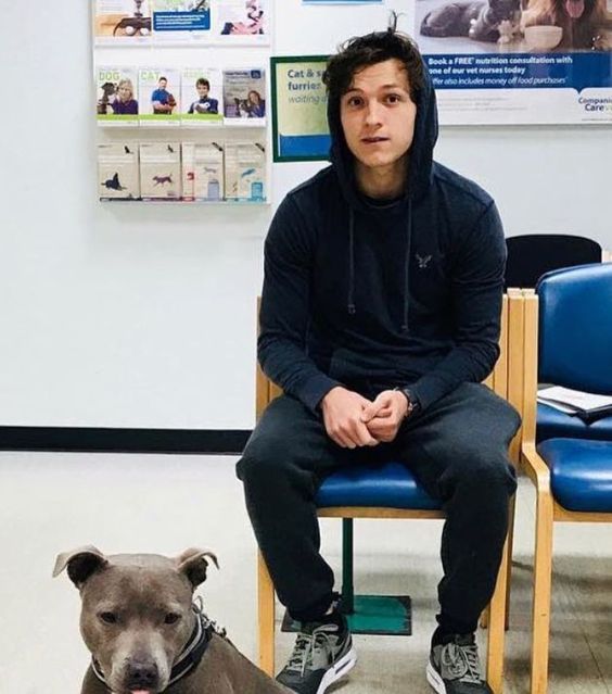 1d9627106de77c70aa3747da62db420a