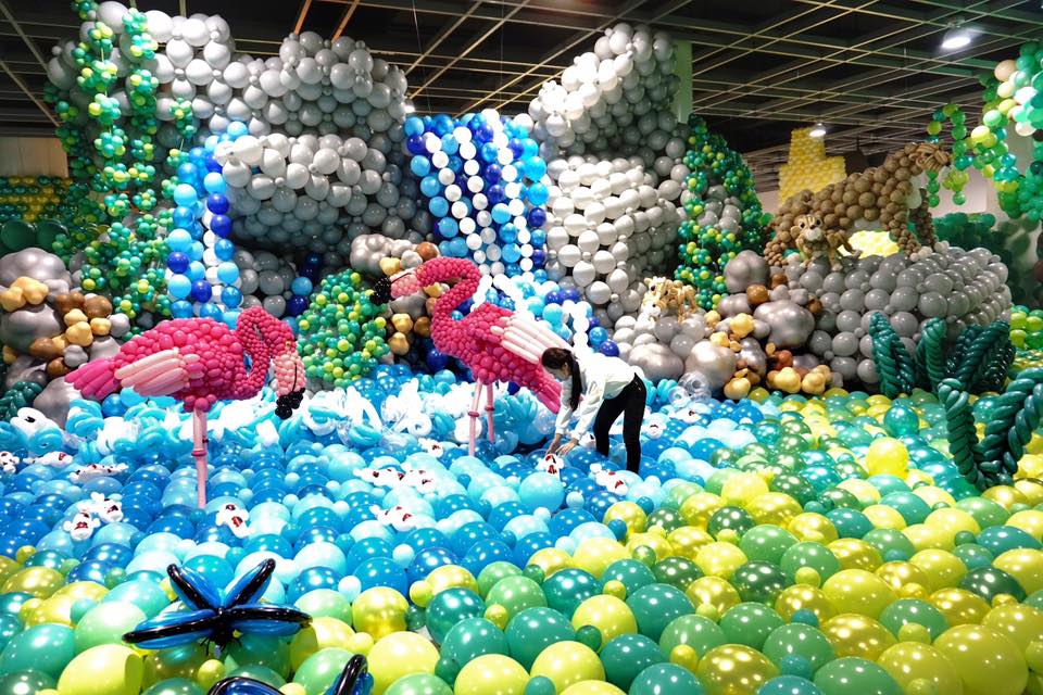 33901926_2338896666124219_6933344115132203008_n