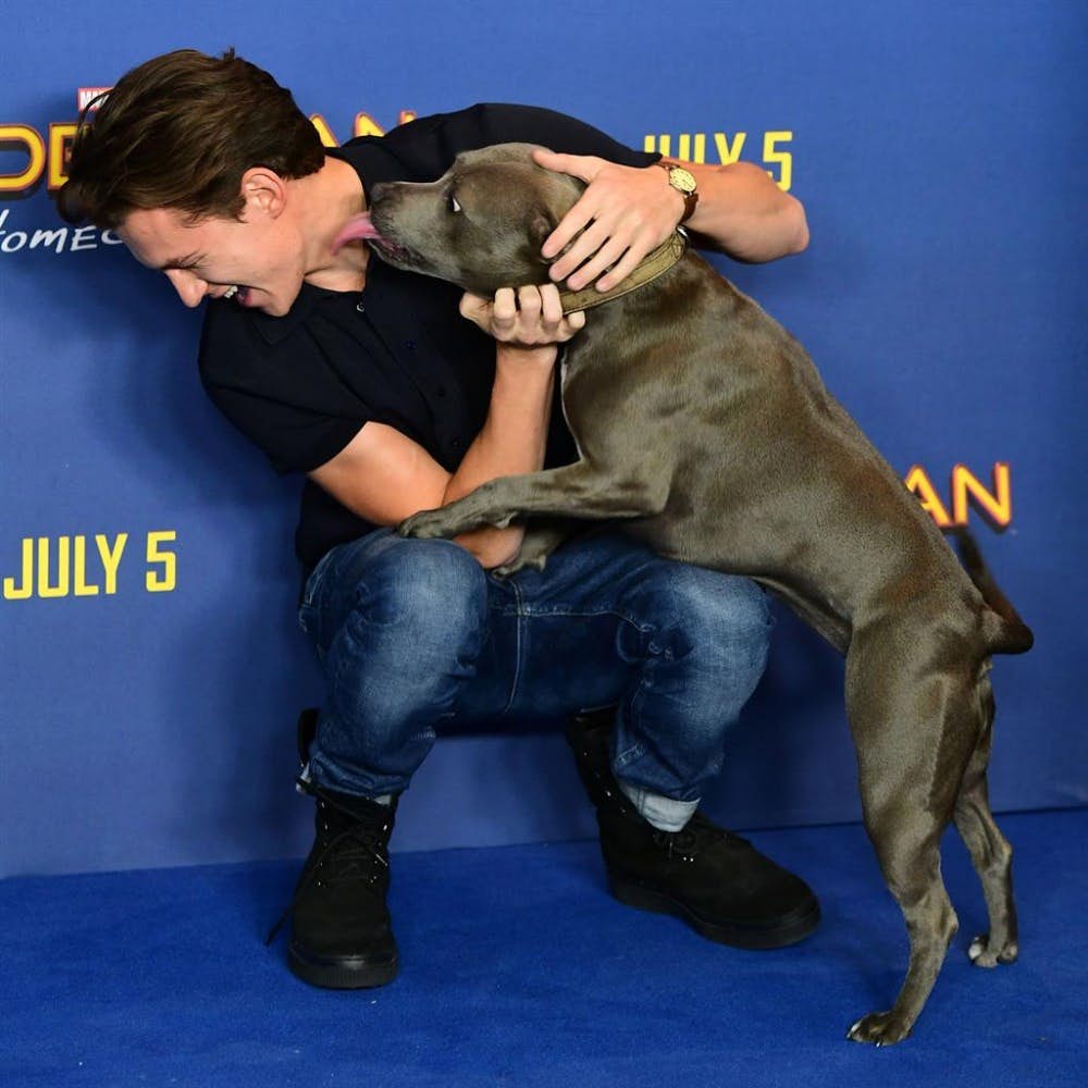 39dd5c0fb5fc40958e1978517f78b93c