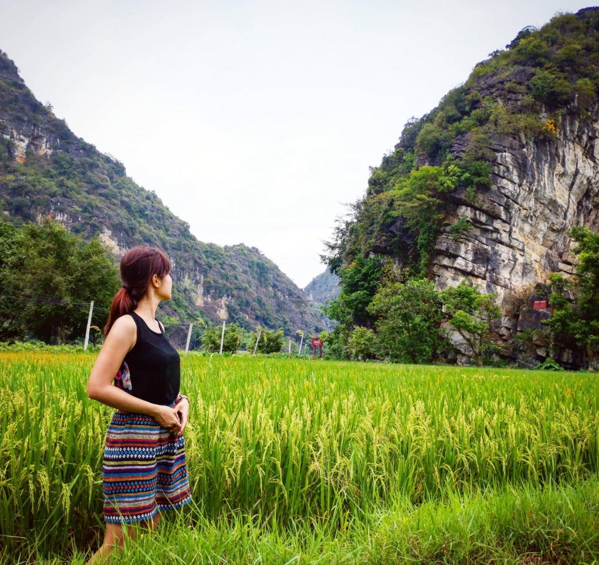 66268643_2238662689780266_2087211255243735040_n