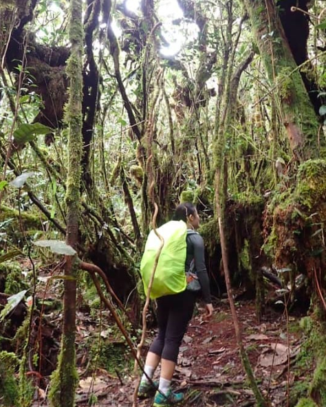 Screen Shot 2019-07-06 at 4.50.56 PM