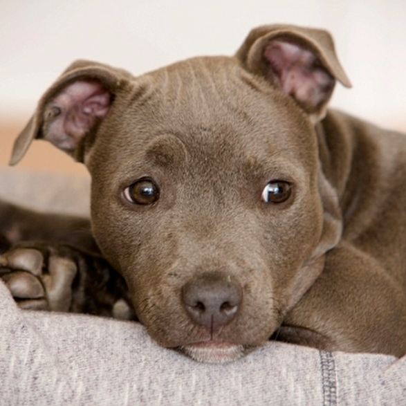 Screen Shot 2019-07-21 at 11.17.18 PM